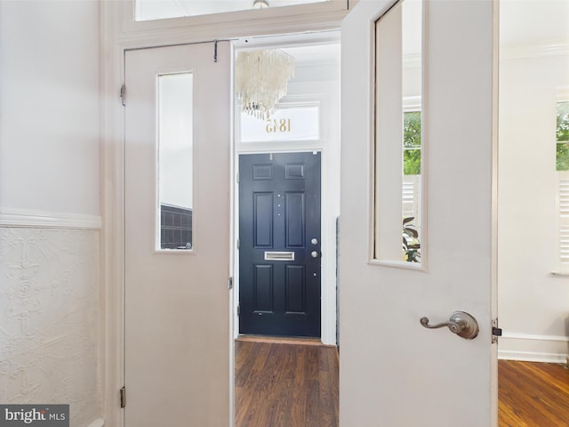 foyer featuring wood finished floors, a chandelier, baseboards, and plenty of natural light
