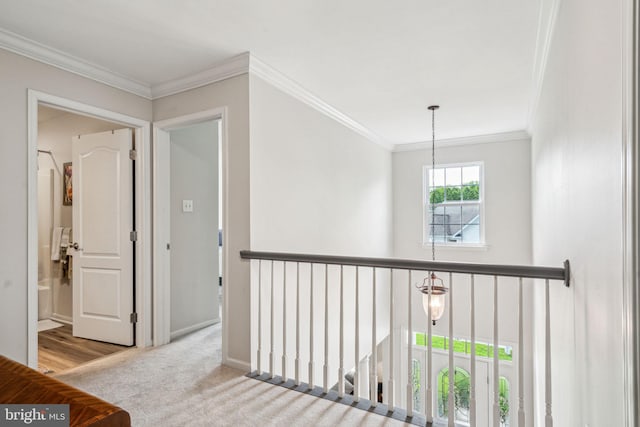 1723 Magnolia Ct, Garnet Valley, PA 19060 - corridor with crown molding, an upstairs landing, carpet flooring, and baseboards