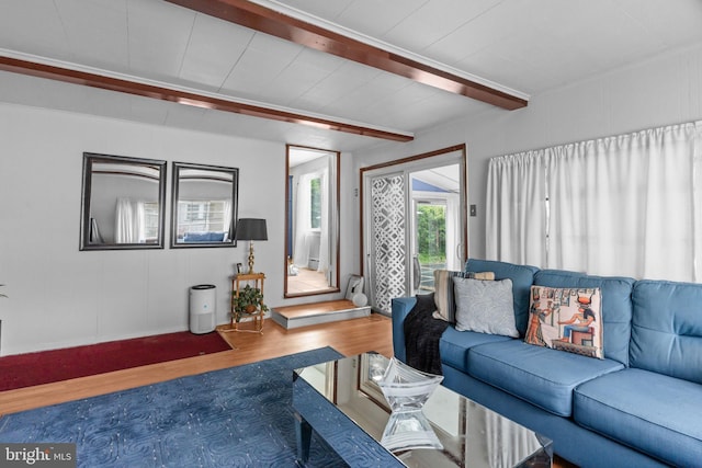 217 Lake Ave, Hamilton, NJ 08610 - living area with wood finished floors and beam ceiling