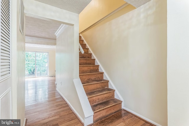 8151 Mandan Ter, Greenbelt, MD 20770 - staircase featuring ornamental molding, wood finished floors, baseboards, and a textured ceiling