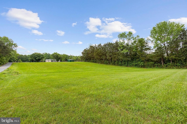 view of grassy yard