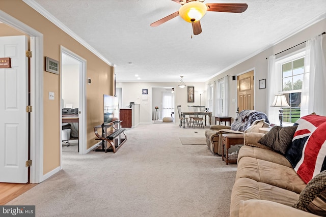 living area featuring a desk, a ceiling fan, a textured ceiling, crown molding, and carpet floors