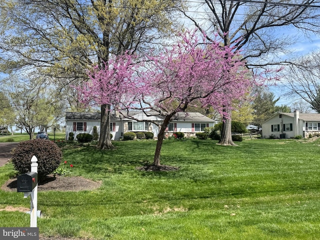 593 Moyer Rd, Souderton, PA 18964 - view of front of property featuring a front yard