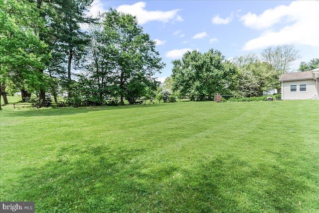view of grassy yard