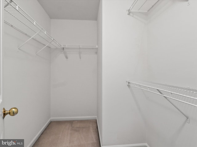 9757 Cheshire Ridge Cir, Manassas, VA 20110 - walk in closet with carpet