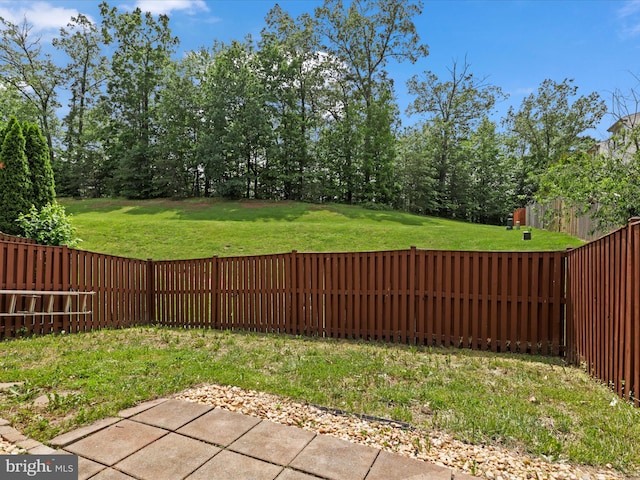 9757 Cheshire Ridge Cir, Manassas, VA 20110 - view of yard
