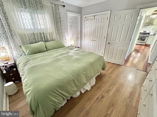 2817 Comly Rd, Philadelphia, PA 19154 - bedroom featuring light wood-type flooring and a closet