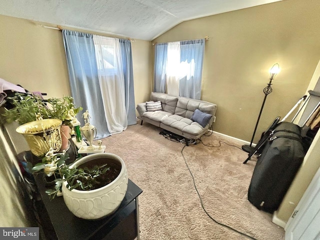 2817 Comly Rd, Philadelphia, PA 19154 - carpeted living room featuring lofted ceiling and baseboards
