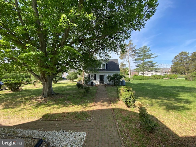 5110 Berclair Plantation Ln, Fredericksburg, VA 22408 - view of grassy yard