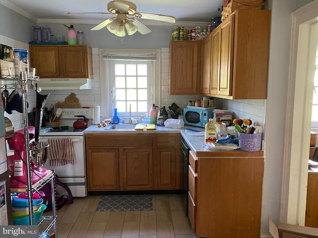 5110 Berclair Plantation Ln, Fredericksburg, VA 22408 - kitchen featuring a sink, white range with electric stovetop, under cabinet range hood, light countertops, and a ceiling fan