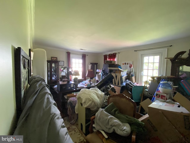 5110 Berclair Plantation Ln, Fredericksburg, VA 22408 - view of living area