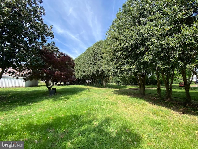 5110 Berclair Plantation Ln, Fredericksburg, VA 22408 - view of green lawn