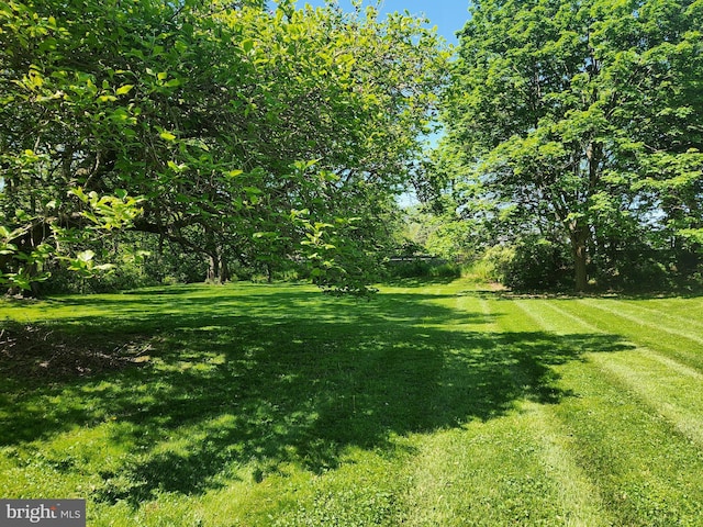 view of grassy yard