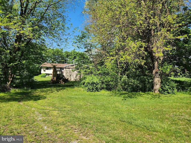 view of grassy yard