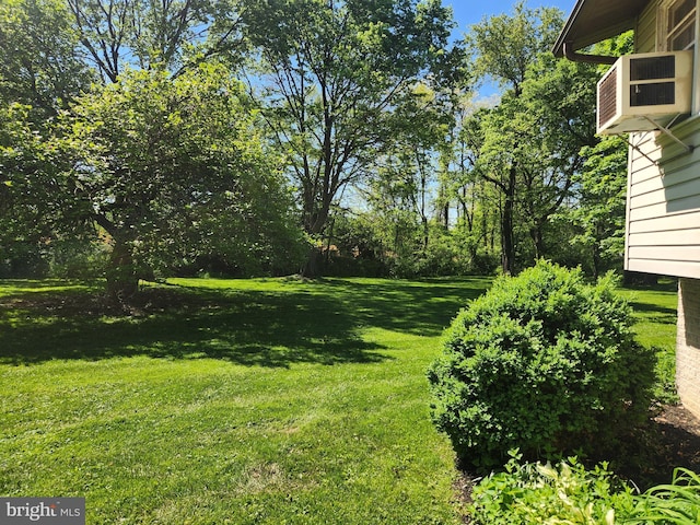 view of green lawn