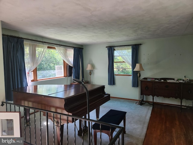 living area featuring baseboards and carpet floors