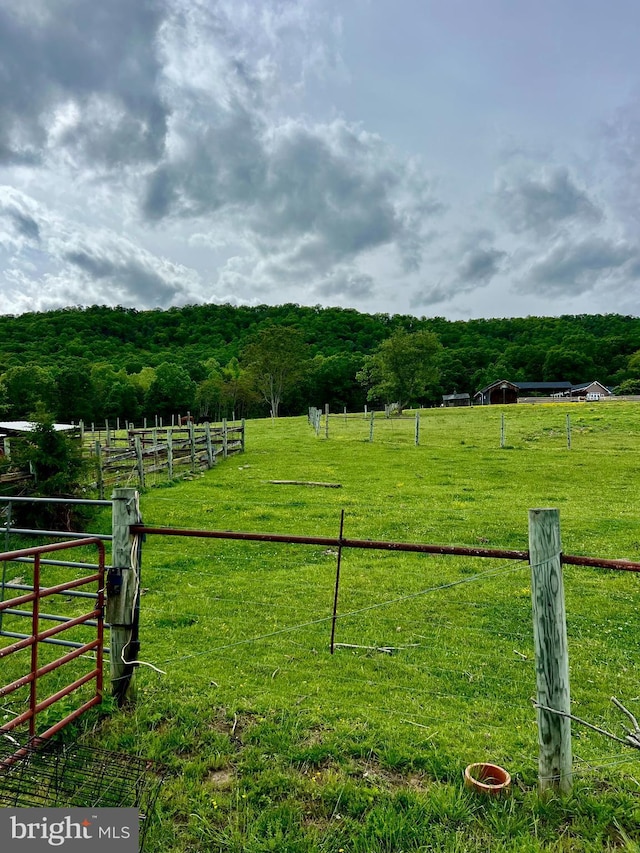 1573 Ridge Hollow Rd, Edinburg, VA 22824 - view of yard with a rural view and a forest view