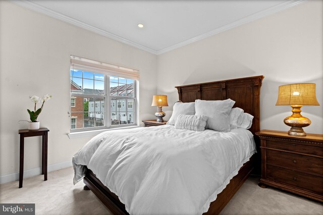 507 Governors Ct, Philadelphia, PA 19146 - bedroom with light carpet, ornamental molding, and baseboards