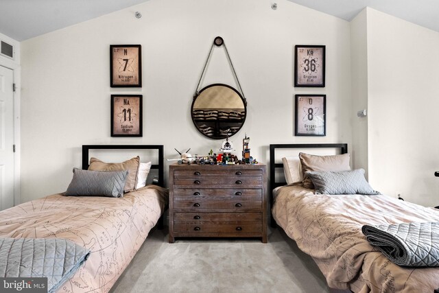 507 Governors Ct, Philadelphia, PA 19146 - carpeted bedroom featuring vaulted ceiling
