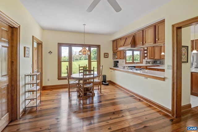 6670 Scottsville Rd, Scottsville, VA 24590 - dining space with a ceiling fan, dark wood-style flooring, a chandelier, and baseboards