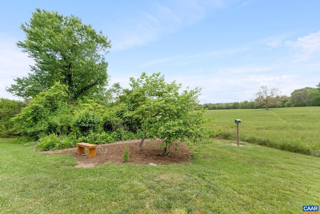 6670 Scottsville Rd, Scottsville, VA 24590 - view of green lawn