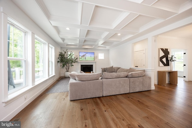 1051 Glen Hall Rd, Kennett Square, PA 19348 - living room featuring coffered ceiling, light wood-type flooring, beamed ceiling, a fireplace, and baseboards