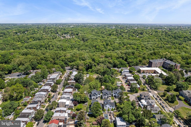 aerial view of a forest
