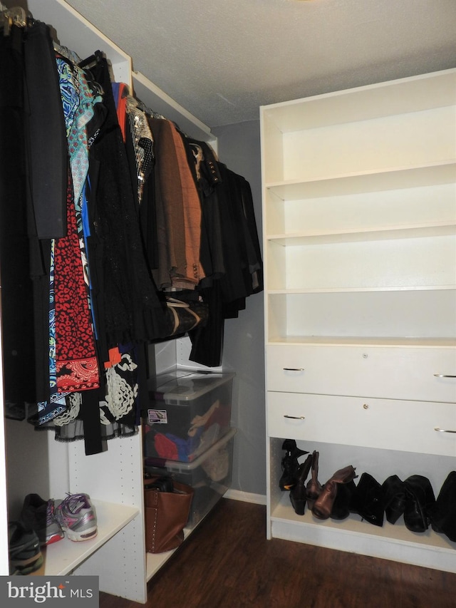 100 W Ave Unit 406S, Jenkintown, PA 19046 - spacious closet with wood finished floors