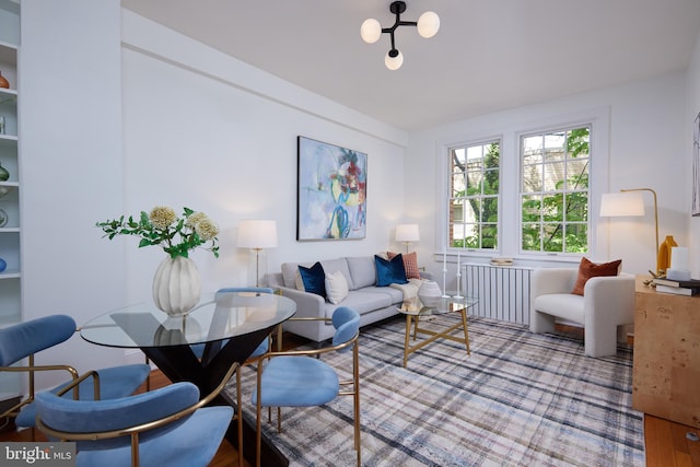 living area with radiator