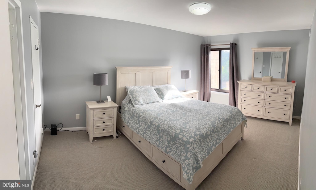 3100 S Manchester St Unit 1028, Falls Church, VA 22044 - bedroom with light colored carpet and baseboards