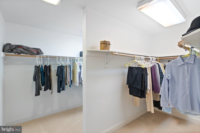 1490 Jakes Creek Dr, Woodbine, MD 21797 - spacious closet with carpet