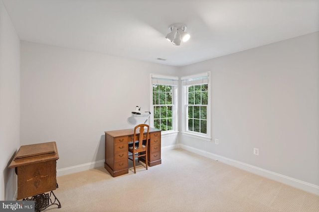 1490 Jakes Creek Dr, Woodbine, MD 21797 - office featuring carpet and baseboards
