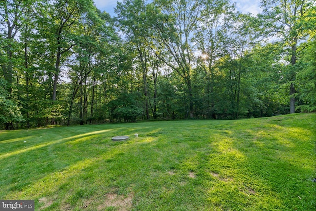 1490 Jakes Creek Dr, Woodbine, MD 21797 - view of green lawn