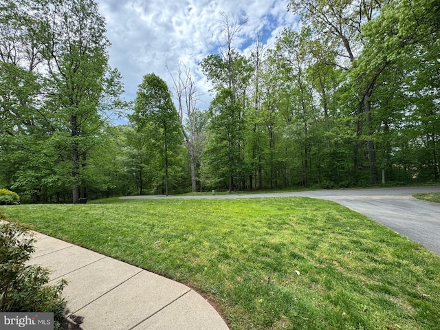 1490 Jakes Creek Dr, Woodbine, MD 21797 - view of grassy yard featuring a view of trees