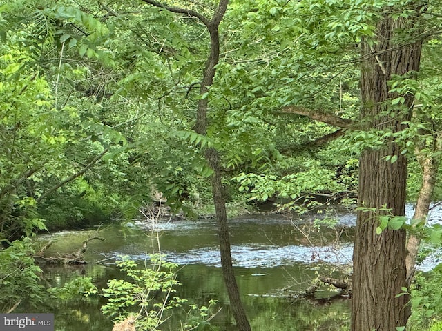 1490 Jakes Creek Dr, Woodbine, MD 21797 - water view