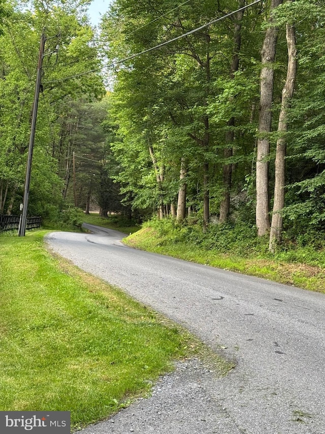 1490 Jakes Creek Dr, Woodbine, MD 21797 - view of asphalt road with a wooded view
