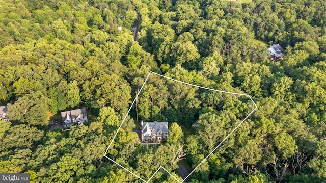 1490 Jakes Creek Dr, Woodbine, MD 21797 - aerial view of property's location with a forest and property parcel outlined