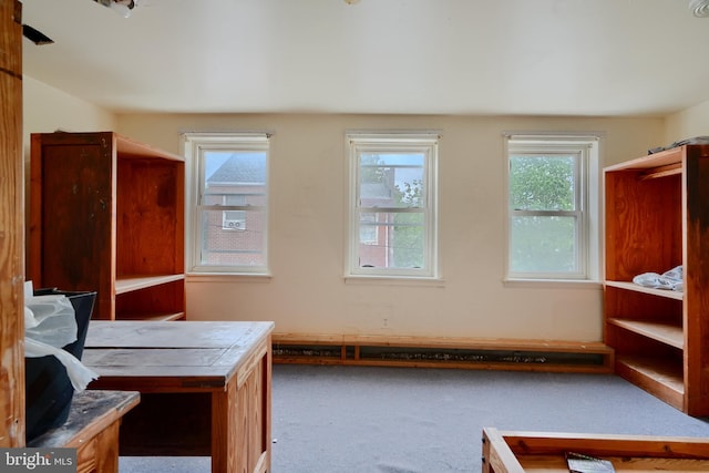116 Callender St, Baltimore, MD 21201 - bedroom with carpet flooring