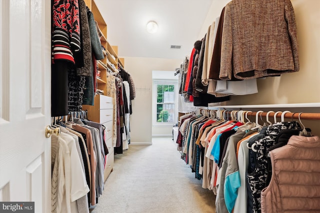 spacious closet featuring carpet floors