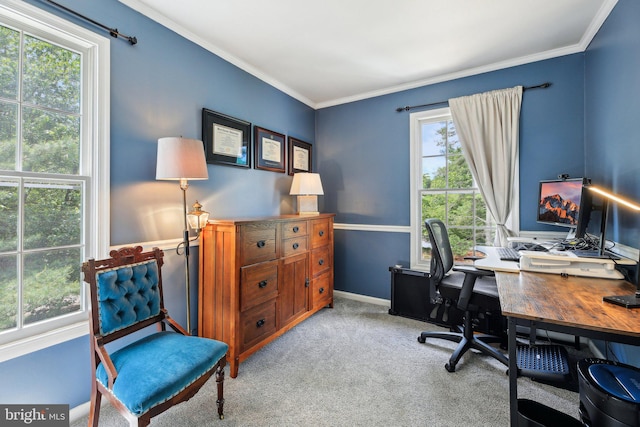 carpeted home office with crown molding and baseboards