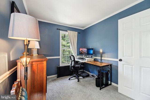 home office with carpet, baseboards, and ornamental molding