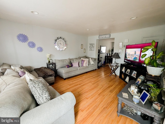 1102 S Merrimac Rd, Camden, NJ 08104 - living area featuring light wood-type flooring and recessed lighting