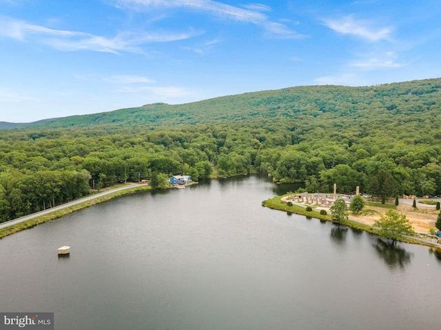 83 Ridge Crest Dr, Harpers Ferry, WV 25425 - drone / aerial view of a forest and a nearby body of water