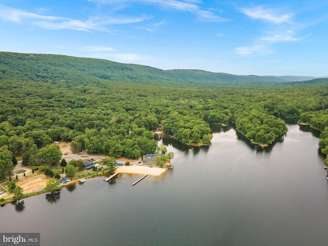 83 Ridge Crest Dr, Harpers Ferry, WV 25425 - drone / aerial view of a heavily wooded area and a nearby body of water