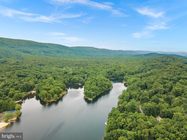 83 Ridge Crest Dr, Harpers Ferry, WV 25425 - bird's eye view of a forest and a water and mountain view