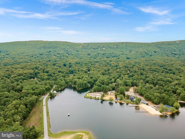 83 Ridge Crest Dr, Harpers Ferry, WV 25425 - bird's eye view of a heavily wooded area and a nearby body of water