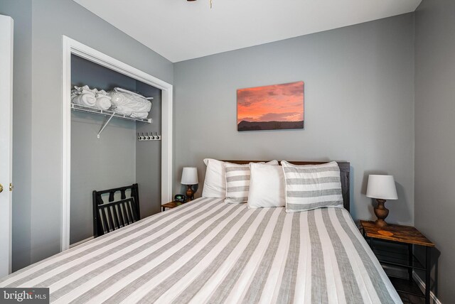392 Passage Ln, Mc Gaheysville, VA 22840 - bedroom featuring a closet