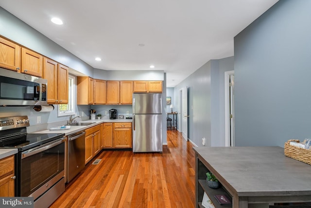 392 Passage Ln, Mc Gaheysville, VA 22840 - kitchen with appliances with stainless steel finishes, light wood-style flooring, open shelves, light countertops, and a sink