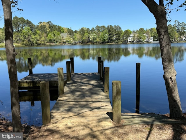 219 N Benjamin Howell St, Williamsburg, VA 23188 - dock with a water view