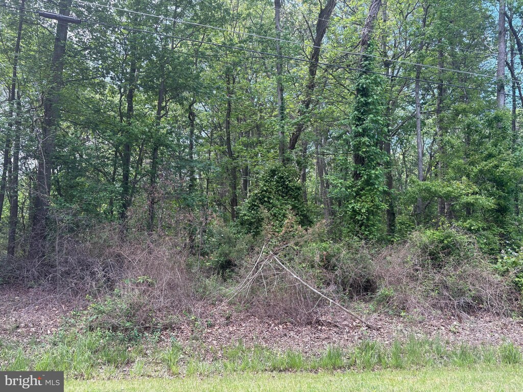 Lenapah Rd, Chestertown, MD 21620
